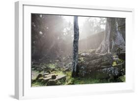 Ta Prohm Temple Sunrise, Angkor Thom, Angkor Wat Temple Complex, Siem Reap, Cambodia, Indochina-Stephen Studd-Framed Photographic Print