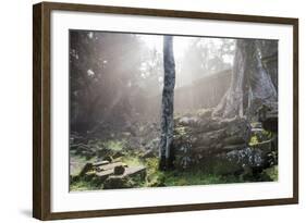 Ta Prohm Temple Sunrise, Angkor Thom, Angkor Wat Temple Complex, Siem Reap, Cambodia, Indochina-Stephen Studd-Framed Photographic Print