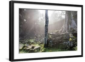 Ta Prohm Temple Sunrise, Angkor Thom, Angkor Wat Temple Complex, Siem Reap, Cambodia, Indochina-Stephen Studd-Framed Photographic Print