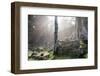 Ta Prohm Temple Sunrise, Angkor Thom, Angkor Wat Temple Complex, Siem Reap, Cambodia, Indochina-Stephen Studd-Framed Photographic Print