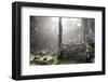 Ta Prohm Temple Sunrise, Angkor Thom, Angkor Wat Temple Complex, Siem Reap, Cambodia, Indochina-Stephen Studd-Framed Photographic Print