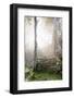 Ta Prohm Temple Sunrise, Angkor Thom, Angkor Wat Temple Complex, Siem Reap, Cambodia, Indochina-Stephen Studd-Framed Photographic Print