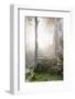 Ta Prohm Temple Sunrise, Angkor Thom, Angkor Wat Temple Complex, Siem Reap, Cambodia, Indochina-Stephen Studd-Framed Photographic Print