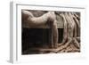 Ta Prohm Temple Tree Roots, Angkor Thom, Angkor Wat Temple Complex-Stephen Studd-Framed Photographic Print