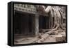 Ta Prohm Temple Tree Roots, Angkor Thom, Angkor Wat Temple Complex-Stephen Studd-Framed Stretched Canvas