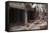 Ta Prohm Temple Tree Roots, Angkor Thom, Angkor Wat Temple Complex-Stephen Studd-Framed Stretched Canvas