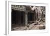 Ta Prohm Temple Tree Roots, Angkor Thom, Angkor Wat Temple Complex-Stephen Studd-Framed Photographic Print