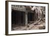 Ta Prohm Temple Tree Roots, Angkor Thom, Angkor Wat Temple Complex-Stephen Studd-Framed Photographic Print
