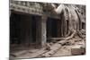 Ta Prohm Temple Tree Roots, Angkor Thom, Angkor Wat Temple Complex-Stephen Studd-Mounted Photographic Print