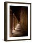 Ta Prohm Walkway-Erin Berzel-Framed Photographic Print