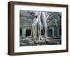 Ta Prohn, Angkor, Siem Reap, Cambodia, Indochina, Asia-Gina Corrigan-Framed Photographic Print