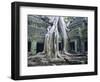 Ta Prohn, Angkor, Siem Reap, Cambodia, Indochina, Asia-Gina Corrigan-Framed Photographic Print