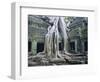 Ta Prohn, Angkor, Siem Reap, Cambodia, Indochina, Asia-Gina Corrigan-Framed Photographic Print
