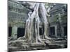 Ta Prohn, Angkor, Siem Reap, Cambodia, Indochina, Asia-Gina Corrigan-Mounted Photographic Print
