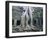 Ta Prohn, Angkor, Siem Reap, Cambodia, Indochina, Asia-Gina Corrigan-Framed Photographic Print