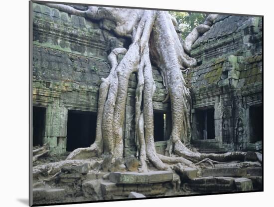 Ta Prohn, Angkor, Siem Reap, Cambodia, Indochina, Asia-Gina Corrigan-Mounted Photographic Print