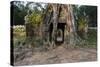 Ta Som Temple, Angkor Wat Temple Complex, Angkor, Siem Reap, Cambodia, Indochina-Stephen Studd-Stretched Canvas