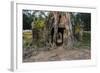 Ta Som Temple, Angkor Wat Temple Complex, Angkor, Siem Reap, Cambodia, Indochina-Stephen Studd-Framed Photographic Print