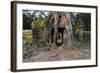 Ta Som Temple, Angkor Wat Temple Complex, Angkor, Siem Reap, Cambodia, Indochina-Stephen Studd-Framed Photographic Print