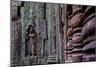 Ta Som Temple, Built in 12th Century by King Jayavarman Vii, Angkor-Nathalie Cuvelier-Mounted Photographic Print