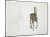 Tab. Viii, from 'The Anatomy of the Horse...' 1766-George Stubbs-Mounted Giclee Print