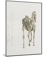 Tab. Xv, from 'The Anatomy of the Horse...', 1766 (Engraving)-George Stubbs-Mounted Giclee Print