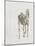 Tab. Xv, from 'The Anatomy of the Horse...', 1766 (Engraving)-George Stubbs-Mounted Giclee Print