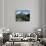 Tabacon Hot Springs and Volcan Arenal-Kevin Schafer-Photographic Print displayed on a wall