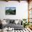 Tabacon Hot Springs and Volcan Arenal-Kevin Schafer-Photographic Print displayed on a wall