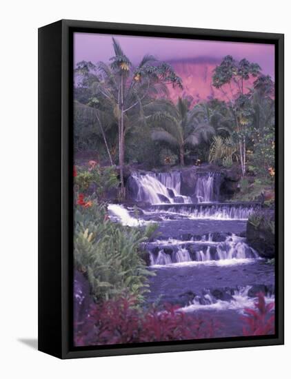 Tabacon Hot Springs, Arenal Volcano, Costa Rica-Nik Wheeler-Framed Stretched Canvas