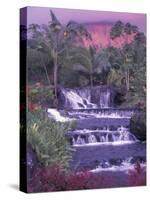 Tabacon Hot Springs, Arenal Volcano, Costa Rica-Nik Wheeler-Stretched Canvas