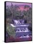 Tabacon Hot Springs, Arenal Volcano, Costa Rica-Nik Wheeler-Framed Stretched Canvas