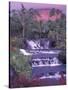 Tabacon Hot Springs, Arenal Volcano, Costa Rica-Nik Wheeler-Stretched Canvas