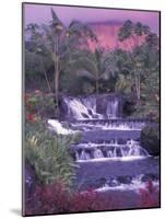 Tabacon Hot Springs, Arenal Volcano, Costa Rica-Nik Wheeler-Mounted Photographic Print