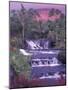 Tabacon Hot Springs, Arenal Volcano, Costa Rica-Nik Wheeler-Mounted Photographic Print