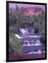 Tabacon Hot Springs, Arenal Volcano, Costa Rica-Nik Wheeler-Framed Photographic Print