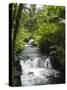 Tabacon Hot Springs, Volcanic Hot Springs Fed from the Arenal Volcano, Arenal, Costa Rica-R H Productions-Stretched Canvas