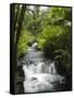 Tabacon Hot Springs, Volcanic Hot Springs Fed from the Arenal Volcano, Arenal, Costa Rica-R H Productions-Framed Stretched Canvas