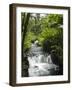 Tabacon Hot Springs, Volcanic Hot Springs Fed from the Arenal Volcano, Arenal, Costa Rica-R H Productions-Framed Photographic Print