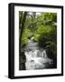 Tabacon Hot Springs, Volcanic Hot Springs Fed from the Arenal Volcano, Arenal, Costa Rica-R H Productions-Framed Photographic Print