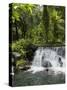 Tabacon Hot Springs, Volcanic Hot Springs Fed from the Arenal Volcano, Arenal, Costa Rica-R H Productions-Stretched Canvas