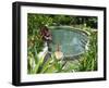 Tabacon Hot Springs, Volcanic Hot Springs Fed from the Arenal Volcano, Arenal, Costa Rica-R H Productions-Framed Photographic Print