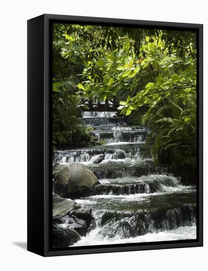 Tabacon Hot Springs, Volcanic Hot Springs Fed from the Arenal Volcano, Arenal, Costa Rica-Robert Harding-Framed Stretched Canvas