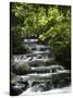 Tabacon Hot Springs, Volcanic Hot Springs Fed from the Arenal Volcano, Arenal, Costa Rica-Robert Harding-Stretched Canvas