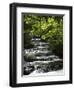 Tabacon Hot Springs, Volcanic Hot Springs Fed from the Arenal Volcano, Arenal, Costa Rica-Robert Harding-Framed Photographic Print