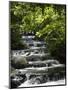 Tabacon Hot Springs, Volcanic Hot Springs Fed from the Arenal Volcano, Arenal, Costa Rica-Robert Harding-Mounted Photographic Print