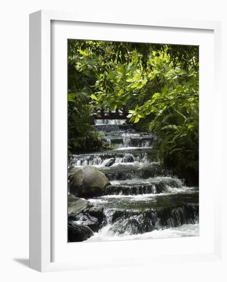 Tabacon Hot Springs, Volcanic Hot Springs Fed from the Arenal Volcano, Arenal, Costa Rica-Robert Harding-Framed Photographic Print