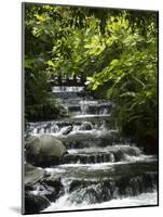 Tabacon Hot Springs, Volcanic Hot Springs Fed from the Arenal Volcano, Arenal, Costa Rica-Robert Harding-Mounted Photographic Print