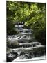 Tabacon Hot Springs, Volcanic Hot Springs Fed from the Arenal Volcano, Arenal, Costa Rica-Robert Harding-Mounted Photographic Print