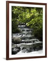 Tabacon Hot Springs, Volcanic Hot Springs Fed from the Arenal Volcano, Arenal, Costa Rica-Robert Harding-Framed Photographic Print